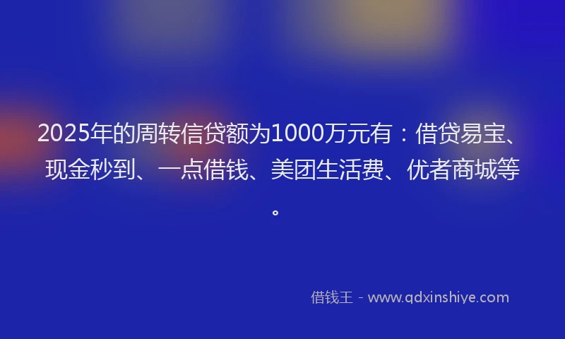 2025年的周转信贷额为1000万元有：借贷易宝、现金秒到、一点借钱、美团生活费、优者商城等。