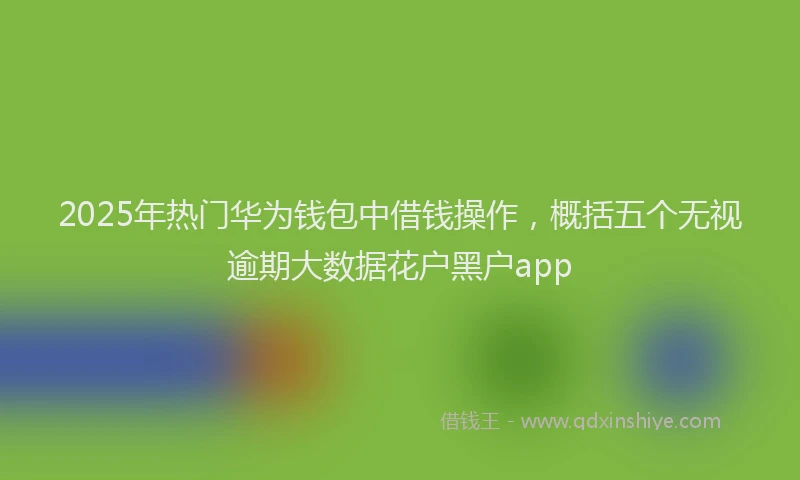 2025年热门华为钱包中借钱操作，概括五个无视逾期大数据花户黑户app