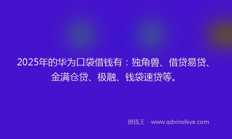 2025年的华为口袋借钱有：独角兽、借贷易贷、金满仓贷、极融、钱袋速贷等。