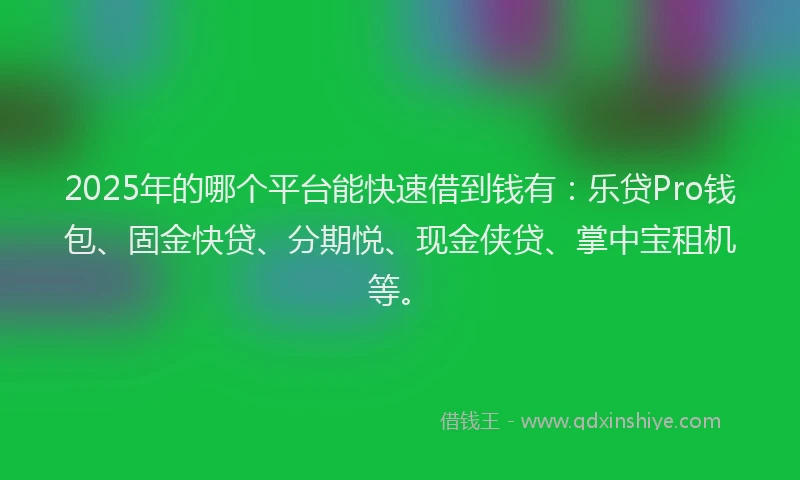 2025年的哪个平台能快速借到钱有：乐贷Pro钱包、固金快贷、分期悦、现金侠贷、掌中宝租机等。
