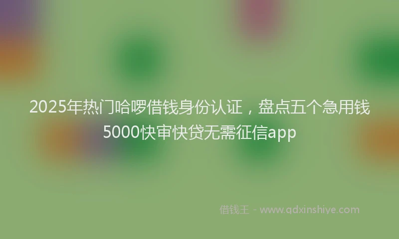 2025年热门哈啰借钱身份认证，盘点五个急用钱5000快审快贷无需征信app