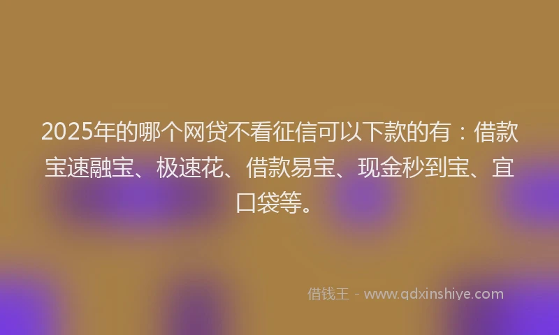 2025年的哪个网贷不看征信可以下款的有：借款宝速融宝、极速花、借款易宝、现金秒到宝、宜口袋等。