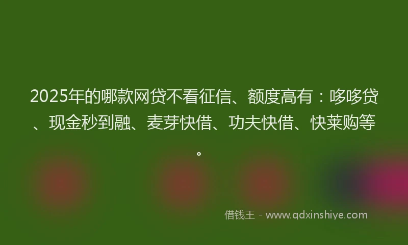 2025年的哪款网贷不看征信、额度高有：哆哆贷、现金秒到融、麦芽快借、功夫快借、快莱购等。