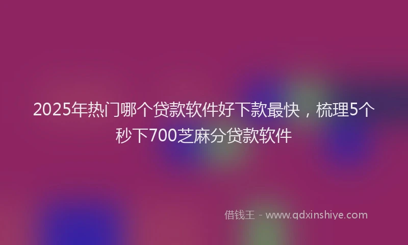 2025年热门哪个贷款软件好下款最快，梳理5个秒下700芝麻分贷款软件