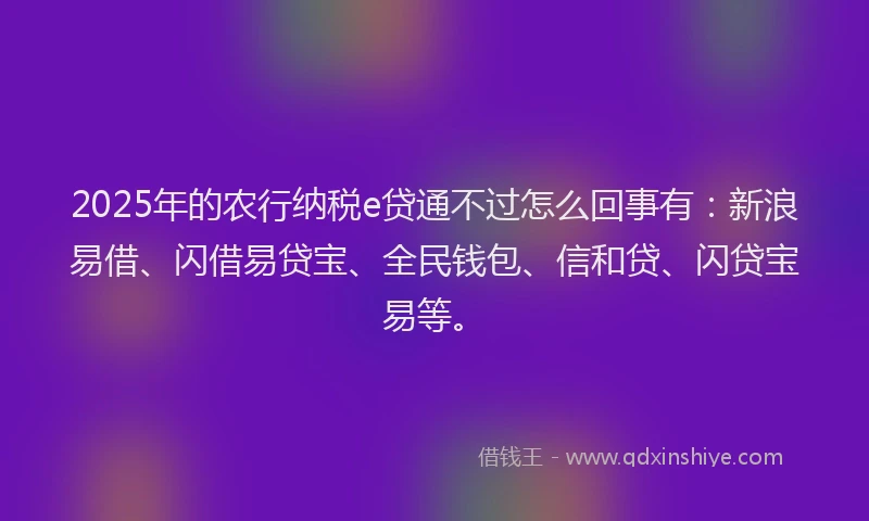 2025年的农行纳税e贷通不过怎么回事有：新浪易借、闪借易贷宝、全民钱包、信和贷、闪贷宝易等。