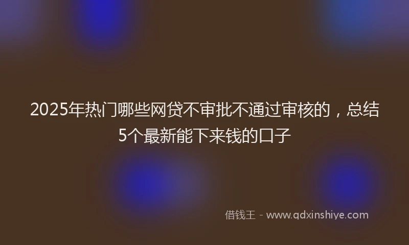 2025年热门哪些网贷不审批不通过审核的，总结5个最新能下来钱的口子