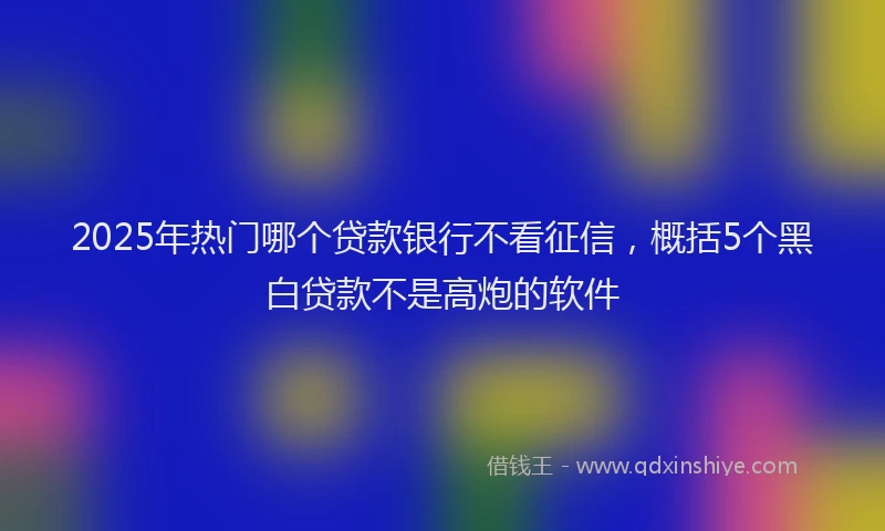 2025年热门哪个贷款银行不看征信，概括5个黑白贷款不是高炮的软件