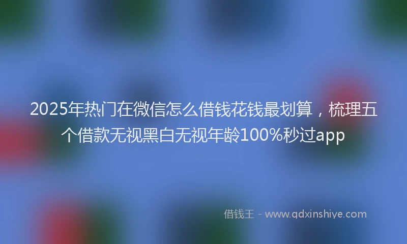 2025年热门在微信怎么借钱花钱最划算，梳理五个借款无视黑白无视年龄100%秒过app