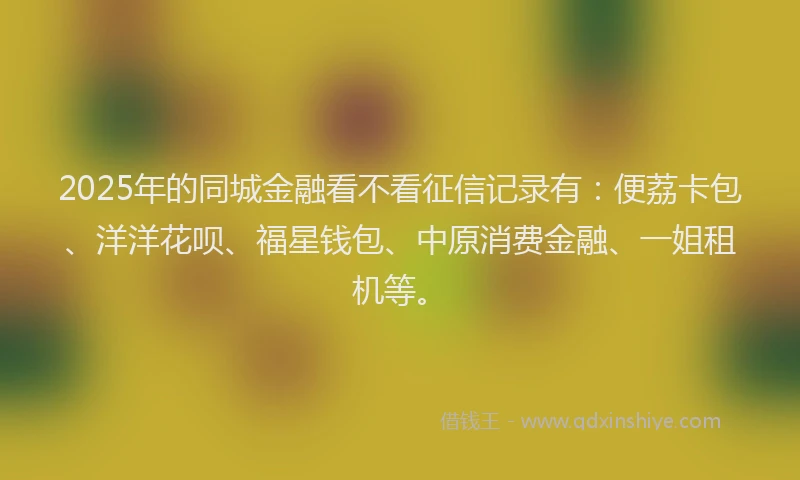 2025年的同城金融看不看征信记录有：便荔卡包、洋洋花呗、福星钱包、中原消费金融、一姐租机等。