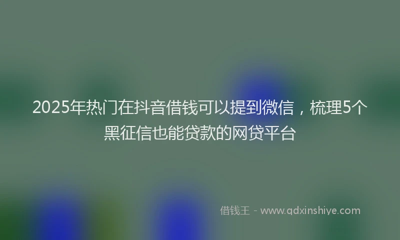 2025年热门在抖音借钱可以提到微信，梳理5个黑征信也能贷款的网贷平台
