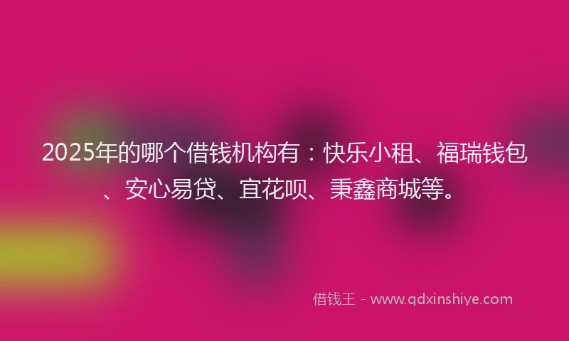 2025年的哪个借钱机构有：快乐小租、福瑞钱包、安心易贷、宜花呗、秉鑫商城等。