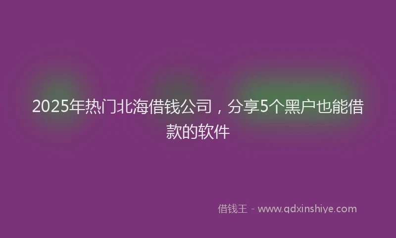 2025年热门北海借钱公司，分享5个黑户也能借款的软件