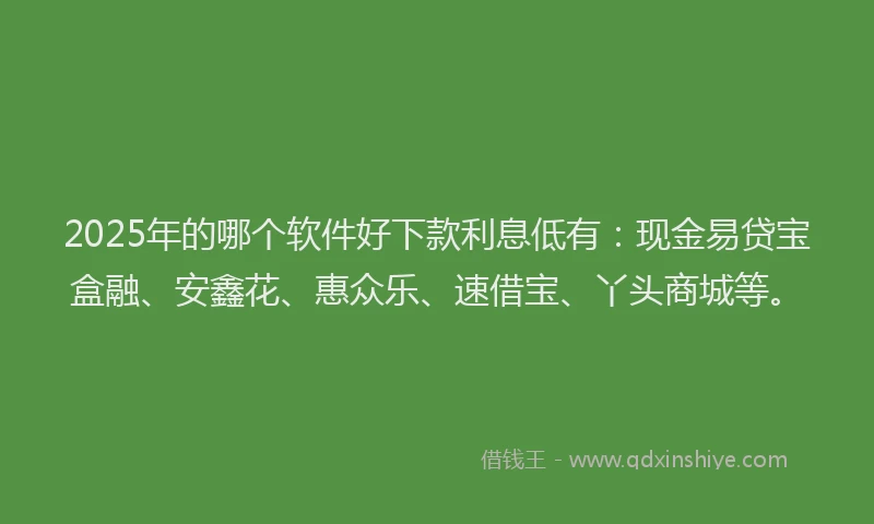 2025年的哪个软件好下款利息低有：现金易贷宝盒融、安鑫花、惠众乐、速借宝、丫头商城等。