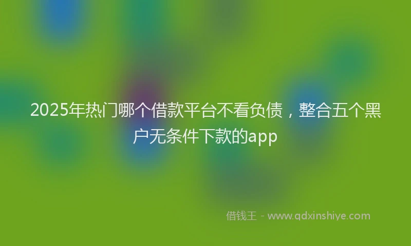 2025年热门哪个借款平台不看负债，整合五个黑户无条件下款的app