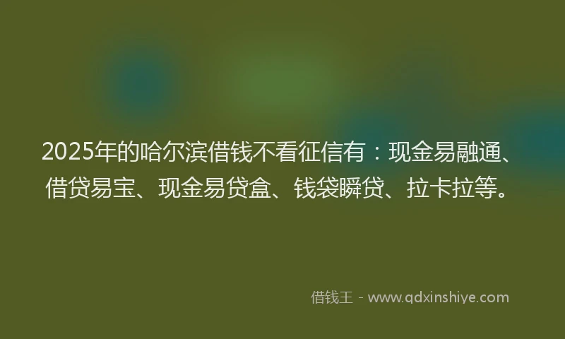 2025年的哈尔滨借钱不看征信有：现金易融通、借贷易宝、现金易贷盒、钱袋瞬贷、拉卡拉等。