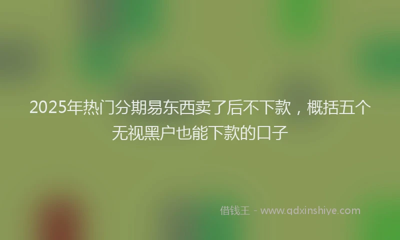 2025年热门分期易东西卖了后不下款，概括五个无视黑户也能下款的口子