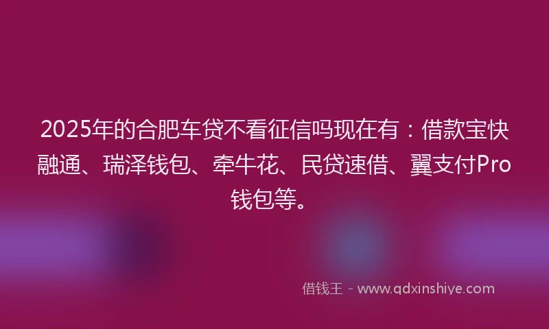 2025年的合肥车贷不看征信吗现在有：借款宝快融通、瑞泽钱包、牵牛花、民贷速借、翼支付Pro钱包等。