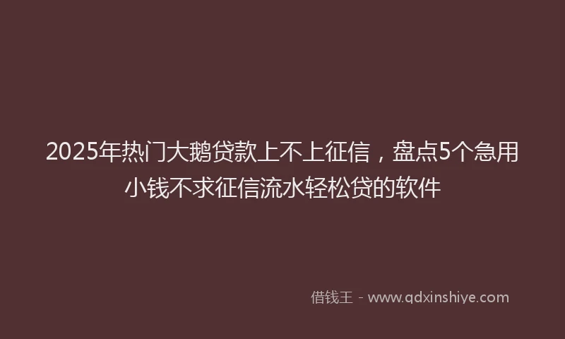 2025年热门大鹅贷款上不上征信，盘点5个急用小钱不求征信流水轻松贷的软件
