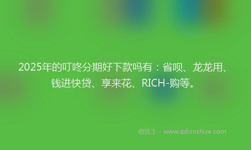 2025年的叮咚分期好下款吗有：省呗、龙龙用、钱进快贷、享来花、RICH-购等。