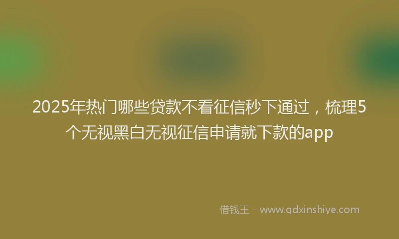 2025年热门哪些贷款不看征信秒下通过，梳理5个无视黑白无视征信申请就下款的app