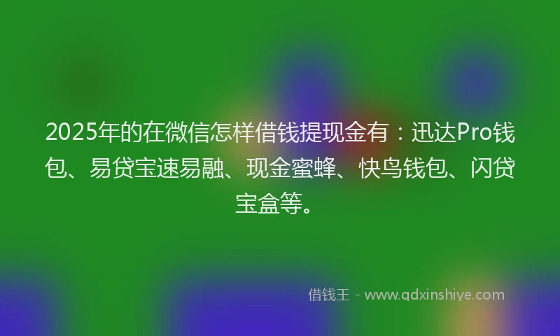 2025年的在微信怎样借钱提现金有：迅达Pro钱包、易贷宝速易融、现金蜜蜂、快鸟钱包、闪贷宝盒等。