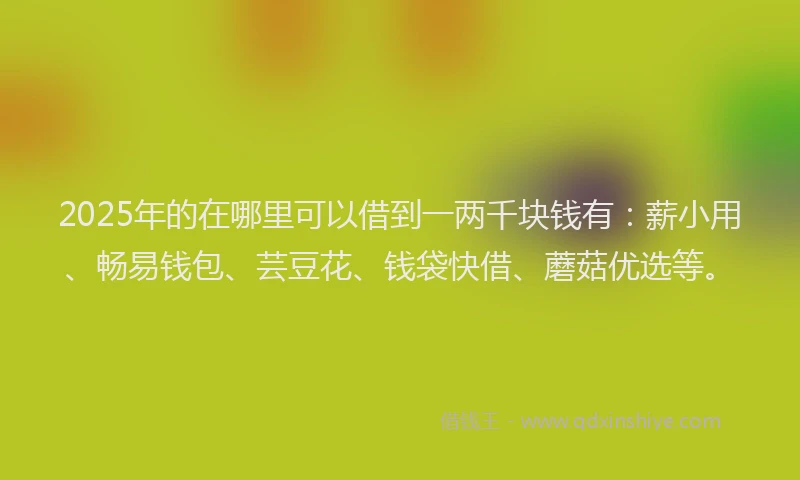 2025年的在哪里可以借到一两千块钱有：薪小用、畅易钱包、芸豆花、钱袋快借、蘑菇优选等。