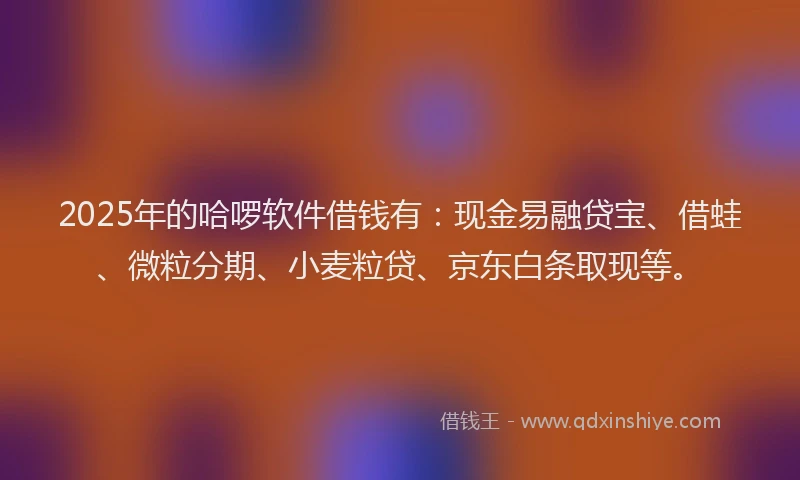 2025年的哈啰软件借钱有：现金易融贷宝、借蛙、微粒分期、小麦粒贷、京东白条取现等。