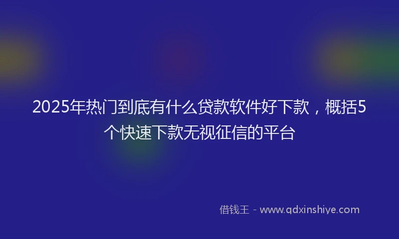 2025年热门到底有什么贷款软件好下款，概括5个快速下款无视征信的平台