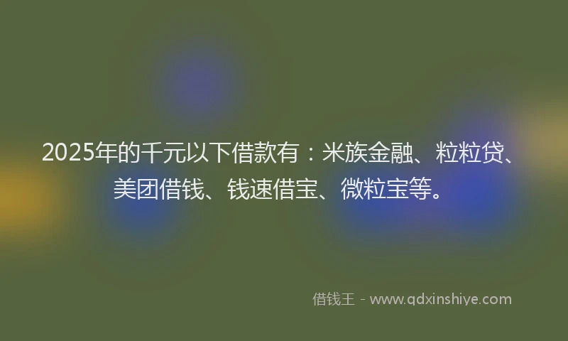2025年的千元以下借款有：米族金融、粒粒贷、美团借钱、钱速借宝、微粒宝等。