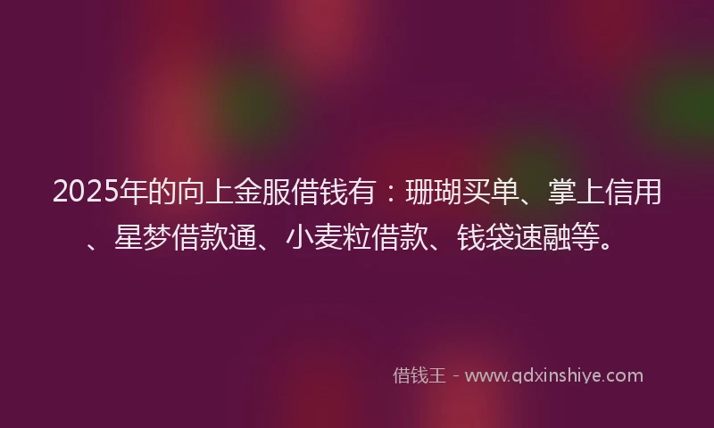 2025年的向上金服借钱有：珊瑚买单、掌上信用、星梦借款通、小麦粒借款、钱袋速融等。