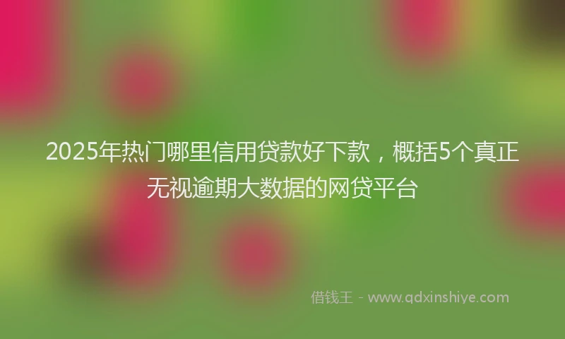 2025年热门哪里信用贷款好下款，概括5个真正无视逾期大数据的网贷平台