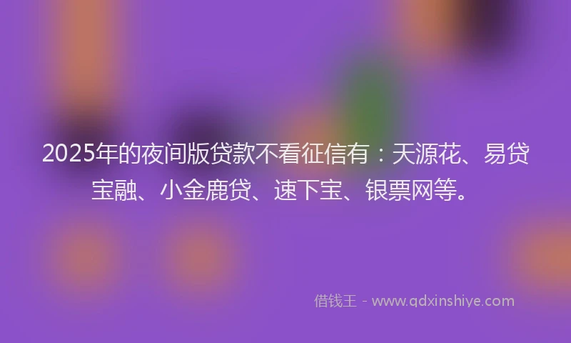 2025年的夜间版贷款不看征信有：天源花、易贷宝融、小金鹿贷、速下宝、银票网等。