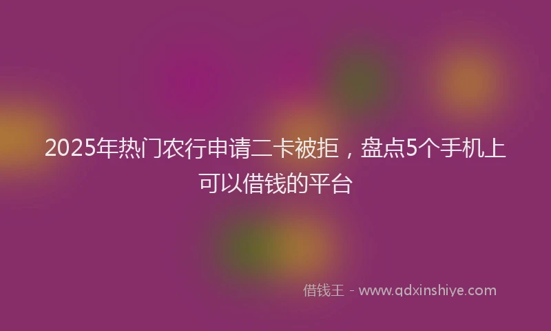 2025年热门农行申请二卡被拒，盘点5个手机上可以借钱的平台