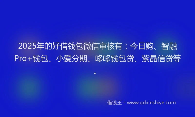 2025年的好借钱包微信审核有：今日购、智融Pro+钱包、小爱分期、哆哆钱包贷、紫晶信贷等。