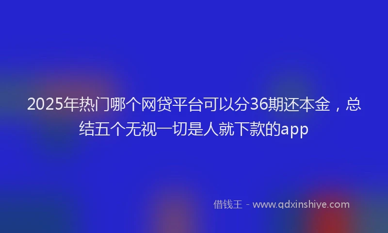 2025年热门哪个网贷平台可以分36期还本金，总结五个无视一切是人就下款的app
