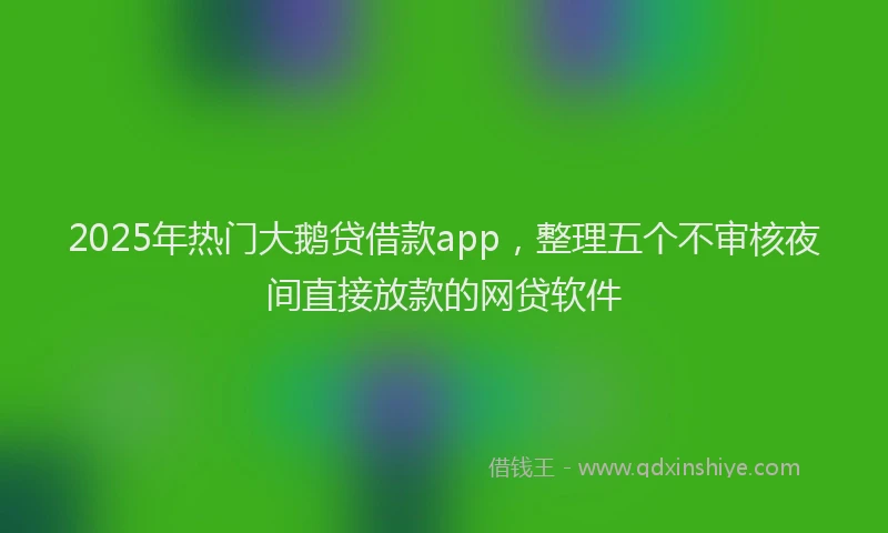 2025年热门大鹅贷借款app，整理五个不审核夜间直接放款的网贷软件