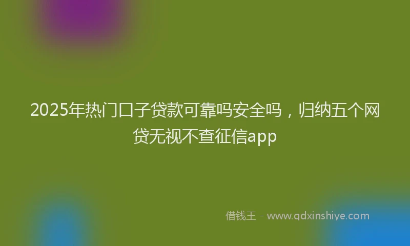 2025年热门口子贷款可靠吗安全吗，归纳五个网贷无视不查征信app