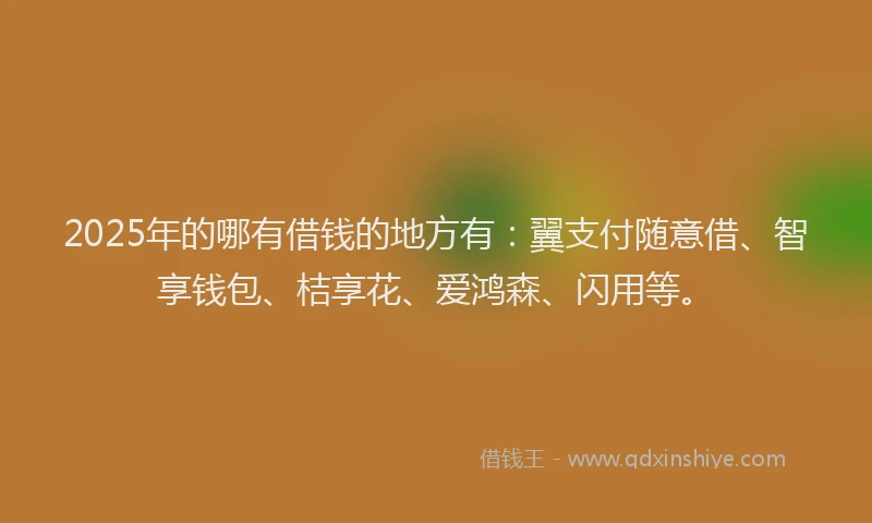 2025年的哪有借钱的地方有：翼支付随意借、智享钱包、桔享花、爱鸿森、闪用等。