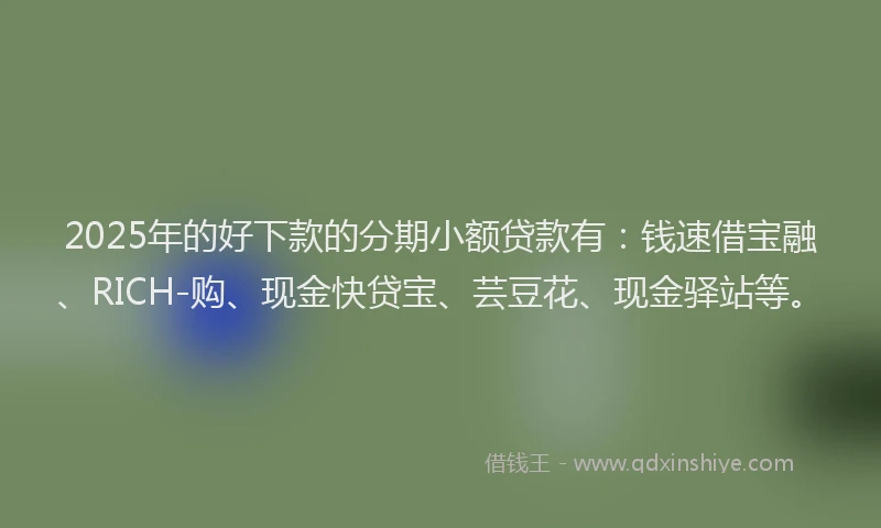 2025年的好下款的分期小额贷款有：钱速借宝融、RICH-购、现金快贷宝、芸豆花、现金驿站等。