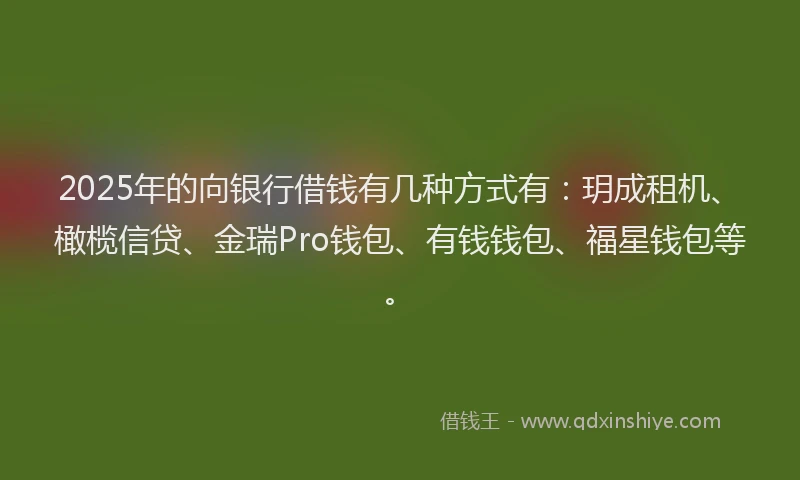 2025年的向银行借钱有几种方式有：玥成租机、橄榄信贷、金瑞Pro钱包、有钱钱包、福星钱包等。