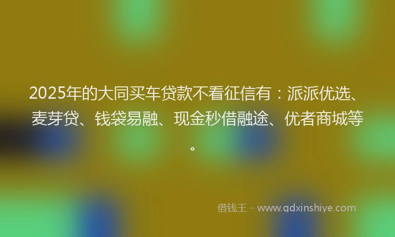 2025年的大同买车贷款不看征信有：派派优选、麦芽贷、钱袋易融、现金秒借融途、优者商城等。
