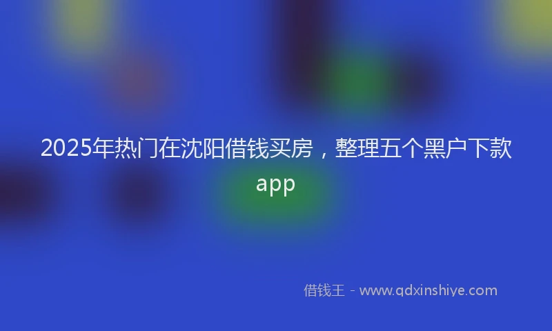 2025年热门在沈阳借钱买房，整理五个黑户下款app
