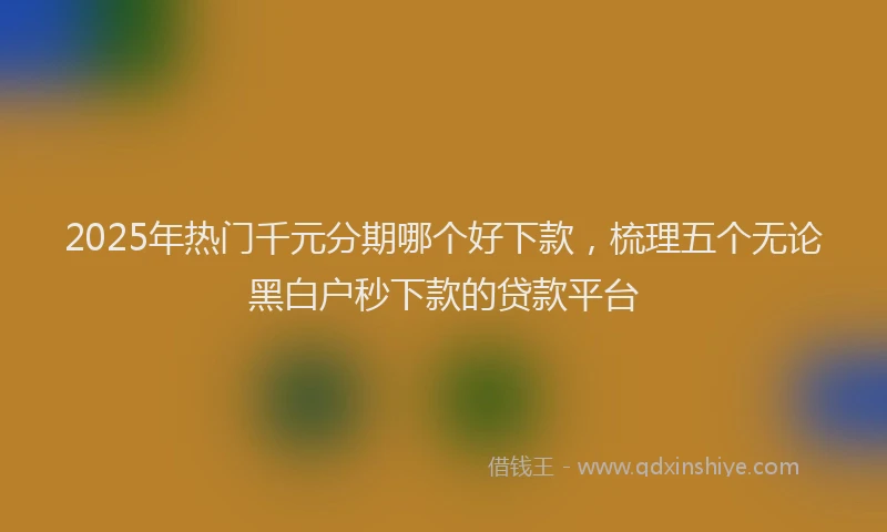 2025年热门千元分期哪个好下款，梳理五个无论黑白户秒下款的贷款平台