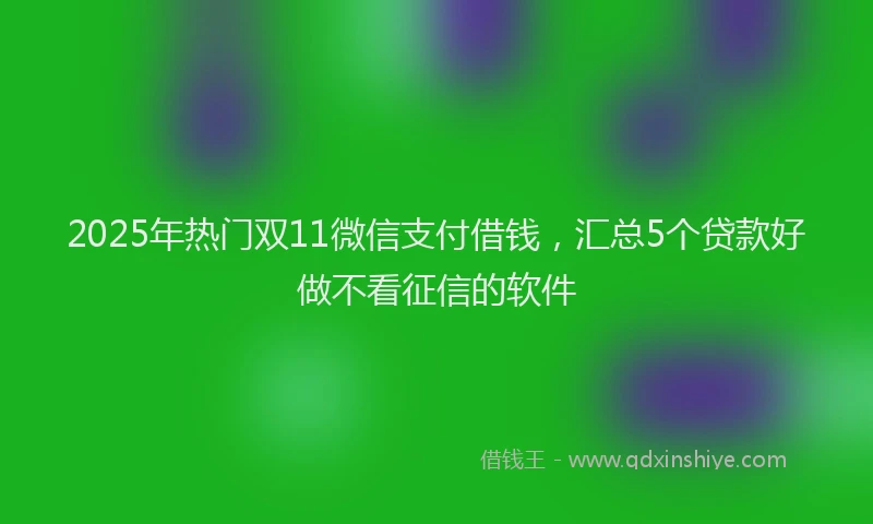 2025年热门双11微信支付借钱，汇总5个贷款好做不看征信的软件