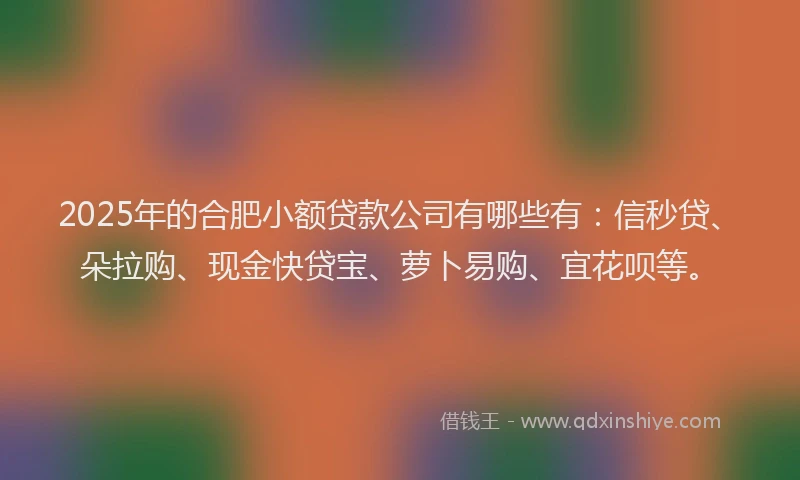 2025年的合肥小额贷款公司有哪些有：信秒贷、朵拉购、现金快贷宝、萝卜易购、宜花呗等。