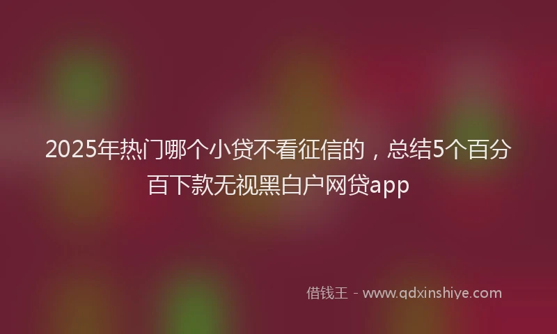 2025年热门哪个小贷不看征信的，总结5个百分百下款无视黑白户网贷app