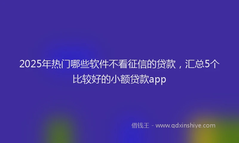 2025年热门哪些软件不看征信的贷款，汇总5个比较好的小额贷款app