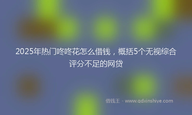 2025年热门咚咚花怎么借钱，概括5个无视综合评分不足的网贷