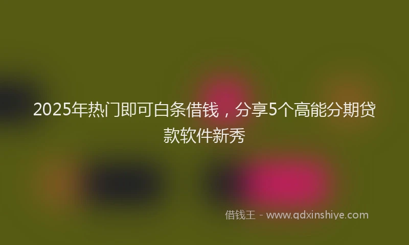 2025年热门即可白条借钱，分享5个高能分期贷款软件新秀