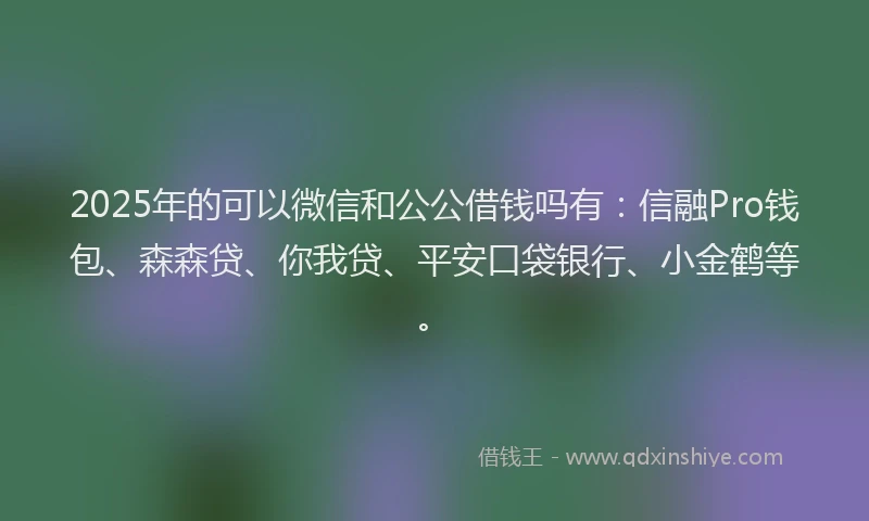 2025年的可以微信和公公借钱吗有：信融Pro钱包、森森贷、你我贷、平安口袋银行、小金鹤等。